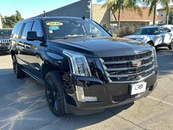 Cadillac Escalade salvage cars for sale: 2016 Cadillac Escalade ESV Premium