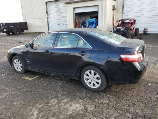 2008 Toyota Camry Hybrid