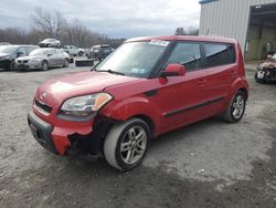 KIA Soul salvage cars for sale: 2011 KIA Soul +