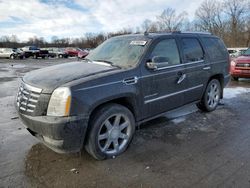 Cadillac salvage cars for sale: 2011 Cadillac Escalade Premium