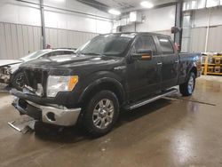 Ford salvage cars for sale: 2010 Ford F150 Supercrew