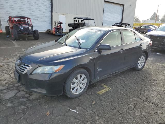 2008 Toyota Camry Hybrid