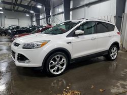 2013 Ford Escape Titanium for sale in Ham Lake, MN