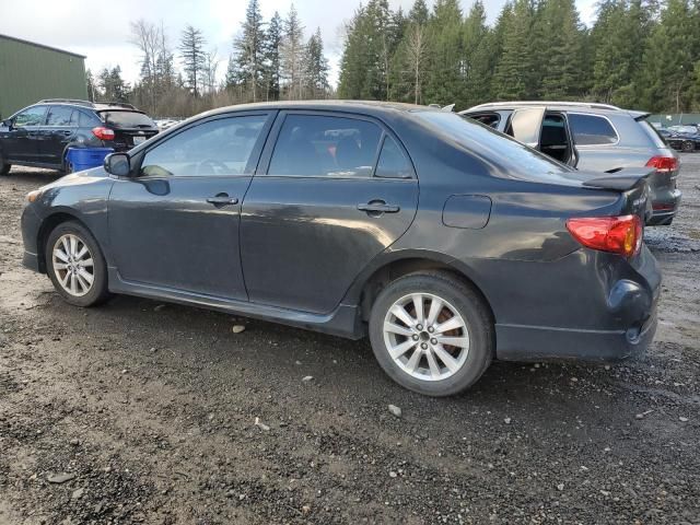 2010 Toyota Corolla Base