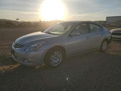 Nissan Altima salvage cars for sale: 2010 Nissan Altima Base