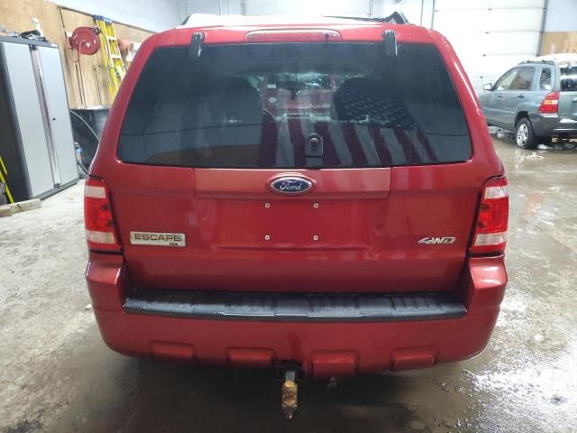 2008 Ford Escape XLT