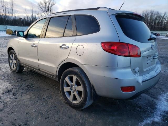 2007 Hyundai Santa FE SE