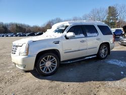 Cadillac salvage cars for sale: 2007 Cadillac Escalade Luxury