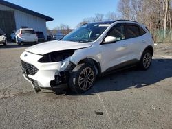 Ford Escape sel salvage cars for sale: 2020 Ford Escape SEL