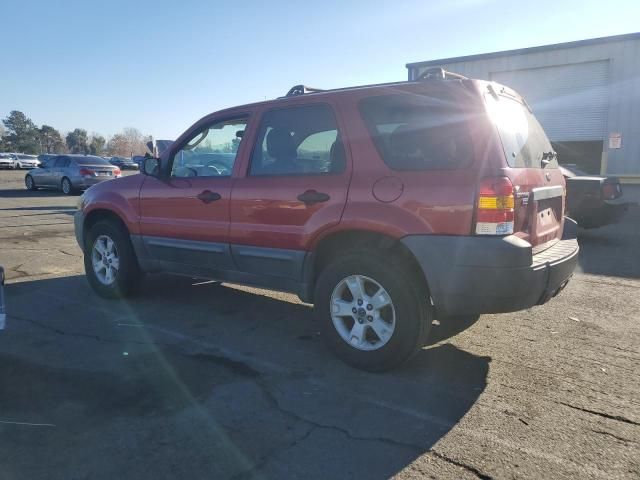 2006 Ford Escape XLT