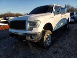 Ford f-150 salvage cars for sale: 2014 Ford F150 Supercrew