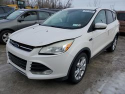 Salvage cars for sale from Copart Leroy, NY: 2013 Ford Escape SEL