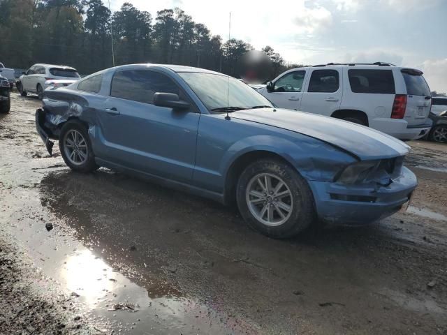 2005 Ford Mustang