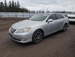 Lexus salvage cars for sale: 2011 Lexus ES 350