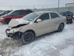 Toyota Corolla salvage cars for sale: 2010 Toyota Corolla Base