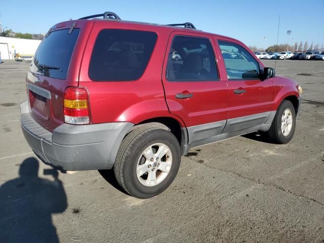 2006 Ford Escape XLT