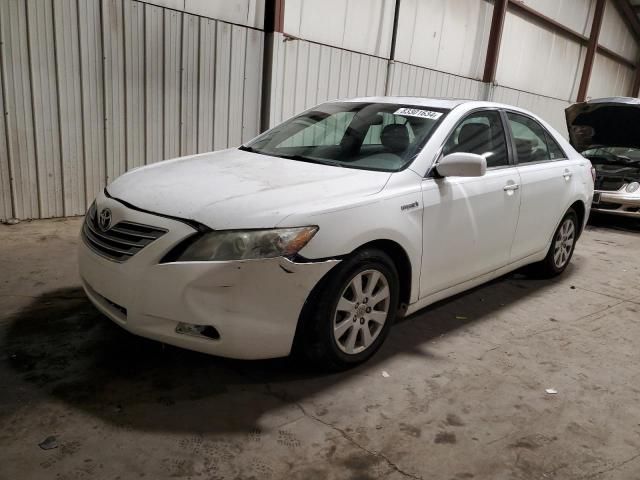 2009 Toyota Camry Hybrid