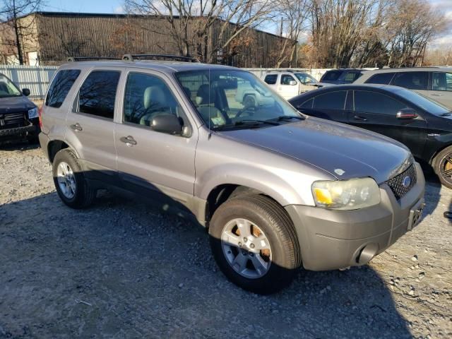 2007 Ford Escape XLT