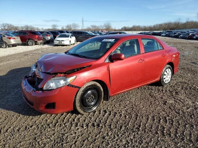 2010 Toyota Corolla Base