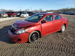 Toyota salvage cars for sale: 2010 Toyota Corolla Base