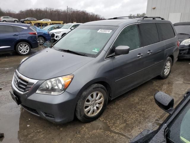 2010 Honda Odyssey EXL