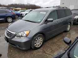 Honda Odyssey exl salvage cars for sale: 2010 Honda Odyssey EXL