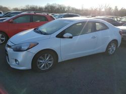 KIA Forte Vehiculos salvage en venta: 2014 KIA Forte EX