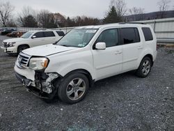 Honda Pilot salvage cars for sale: 2015 Honda Pilot EXL