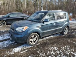 KIA salvage cars for sale: 2010 KIA Soul +