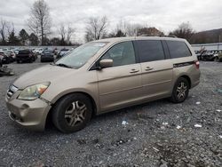 Honda salvage cars for sale: 2005 Honda Odyssey EXL