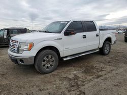 Ford salvage cars for sale: 2012 Ford F150 Supercrew