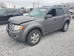 Ford Escape salvage cars for sale: 2012 Ford Escape XLT