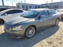 Nissan Maxima salvage cars for sale: 2009 Nissan Maxima S