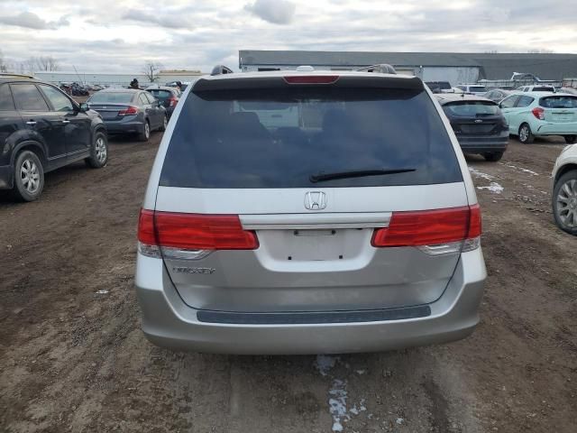 2008 Honda Odyssey EXL