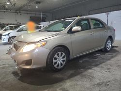 Toyota salvage cars for sale: 2010 Toyota Corolla Base