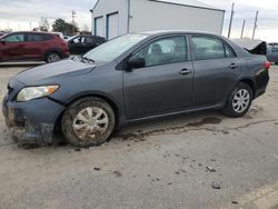 Toyota Corolla salvage cars for sale: 2010 Toyota Corolla Base