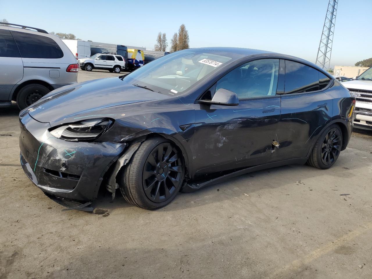 2024 Tesla Model y
