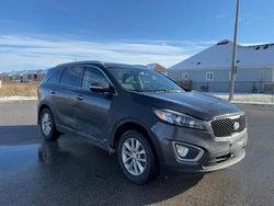 KIA Sorento salvage cars for sale: 2016 KIA Sorento LX