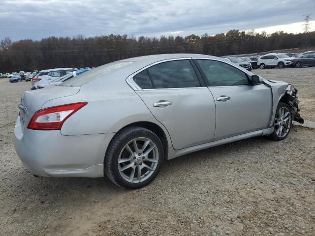 2009 Nissan Maxima S