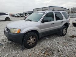 Salvage cars for sale from Copart Wayland, MI: 2004 Ford Escape XLT