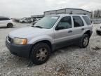 2004 Ford Escape XLT