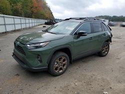 Toyota rav4 Woodl salvage cars for sale: 2024 Toyota Rav4 Woodland Edition