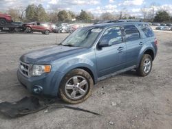 2011 Ford Escape Limited en venta en Madisonville, TN