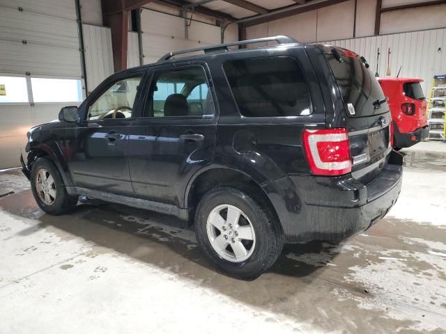 2011 Ford Escape XLT