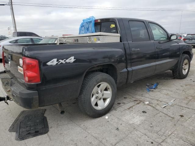 2005 Dodge Dakota Quattro