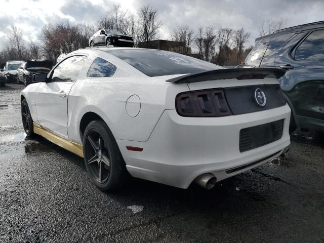 2013 Ford Mustang