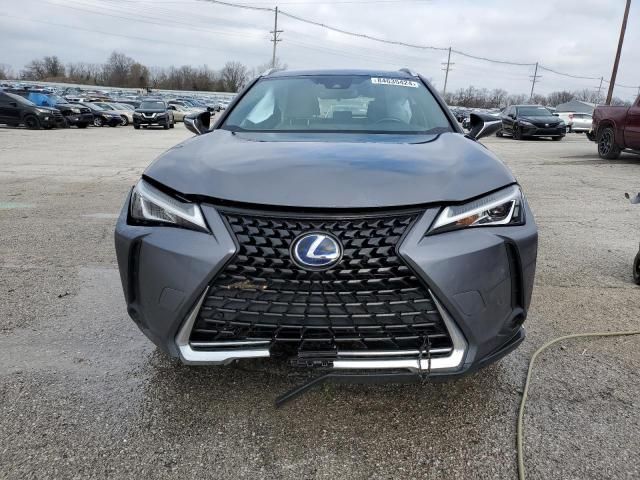 2021 Lexus UX 250H