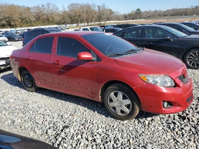 2010 Toyota Corolla Base