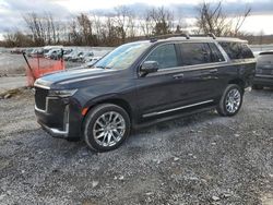 Cadillac salvage cars for sale: 2022 Cadillac Escalade ESV Premium Luxury