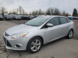 Ford Focus salvage cars for sale: 2014 Ford Focus SE